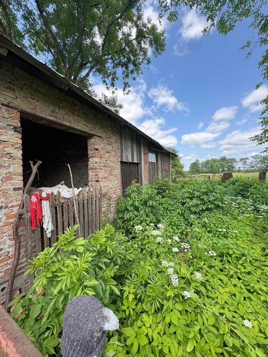 Продаж земельної ділянки з будинком с. Кагуїв