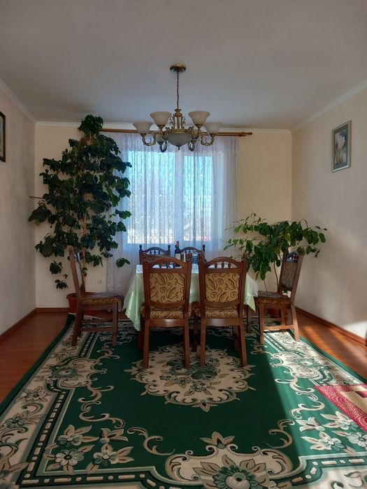 Кавове дерево гарно плодоносить