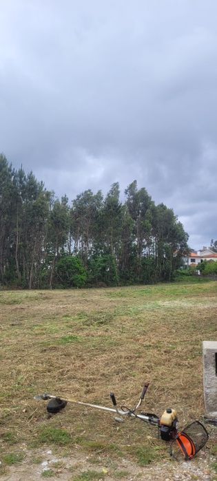 Manutenção de jardins/Limpeza de terrenos/Serviços Agrícolas