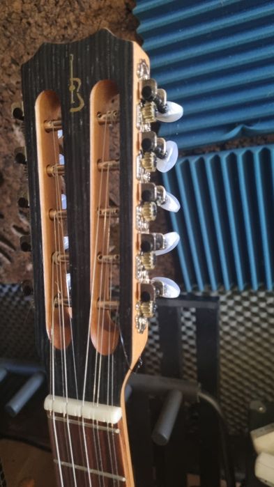 Viola Braguesa APC 250 Amplificada