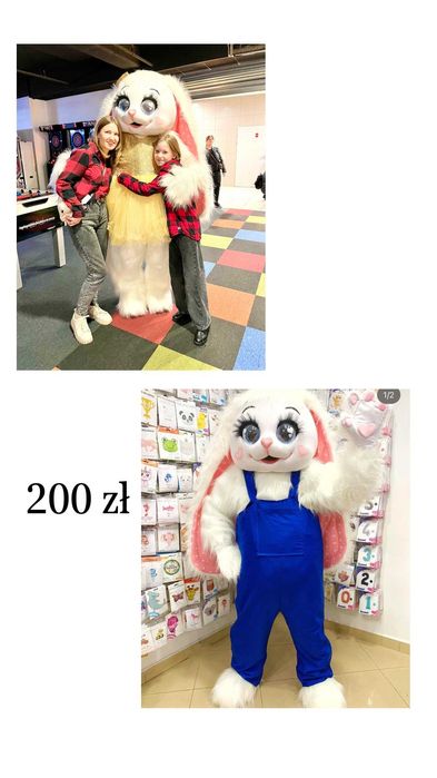 Duże maskotki  na twoją imprezę