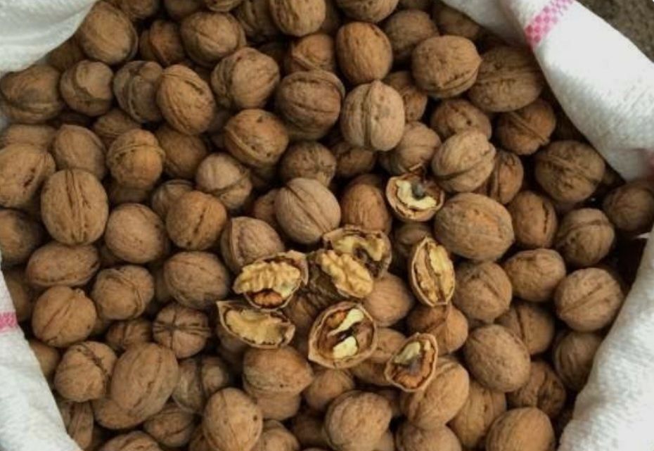 Горіхи цілі продам,урожай 2025 р, просушені.