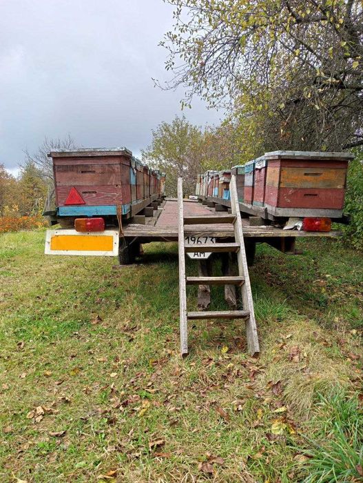 Для ваших бджілок