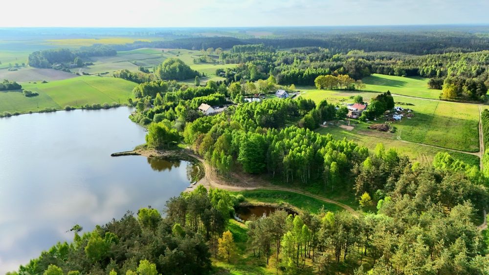 piękna działka nad jeziorem z warunkami zabudowy I udziałem w plaży - Widok 3