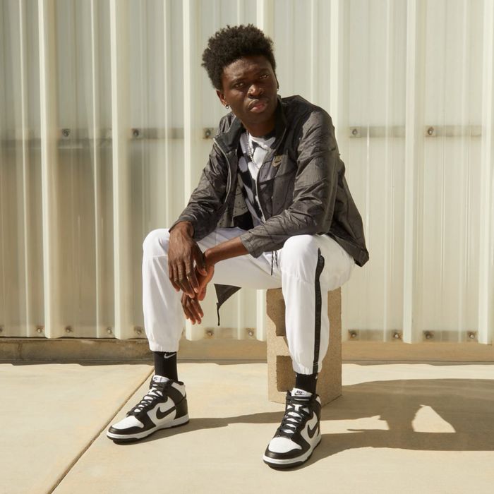 Кросівки Nike Dunk HI Retro DD1399-105 оригінал