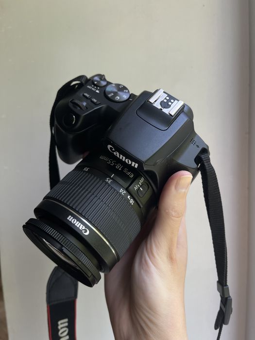 Камера Canon 250d