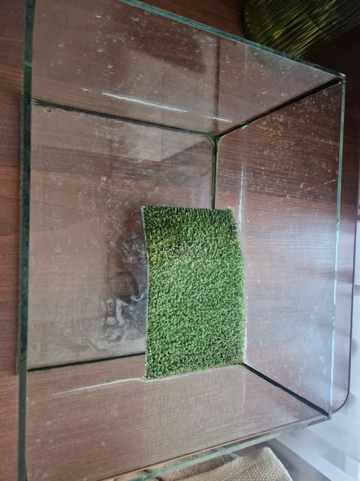 Акваріум для черепах