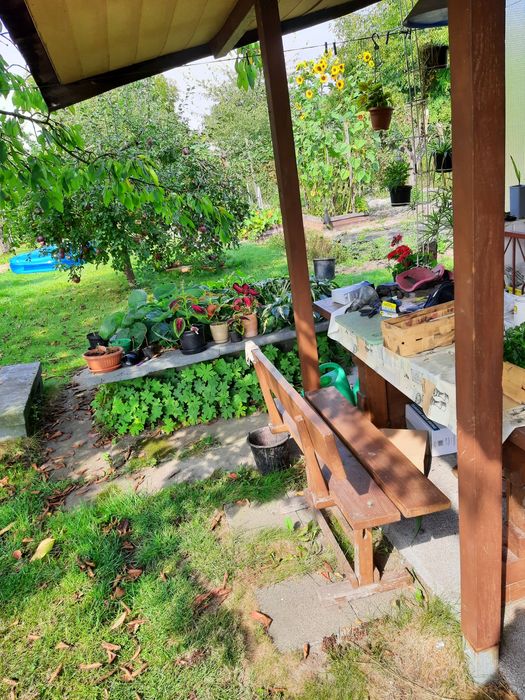 Działka ROD Nowy Start Gliwice