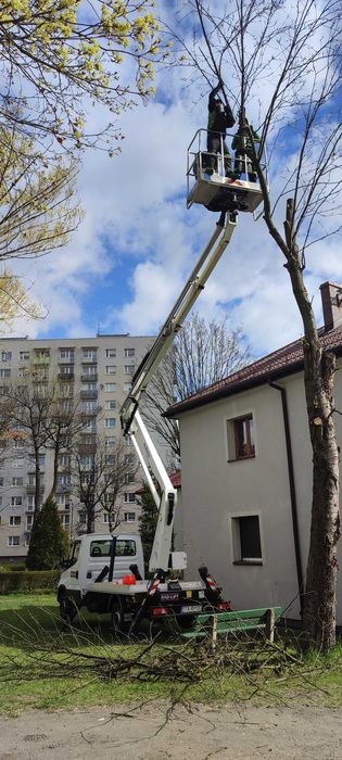 Wynajem zwyżki, podnośnik koszowy 19,21,27m BĘDZIN