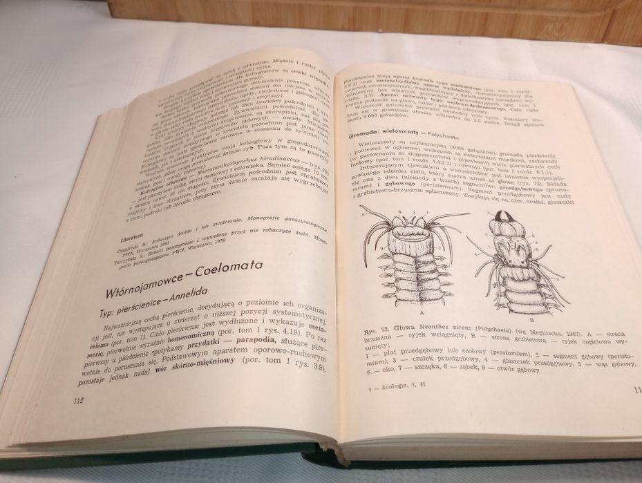 Zoologia. Część systematyczna. T.2. Aleksander Rajski