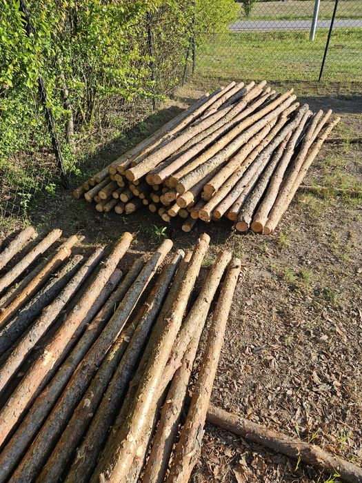 Słupki sosnowe na ogrodzenie tymczasowe.