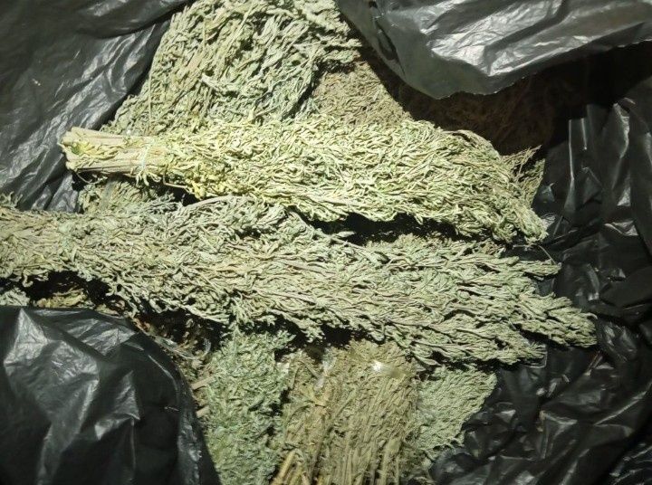 Пижма, материнка, чистотіл, в пучках меліса аір тисячолисник  душиця