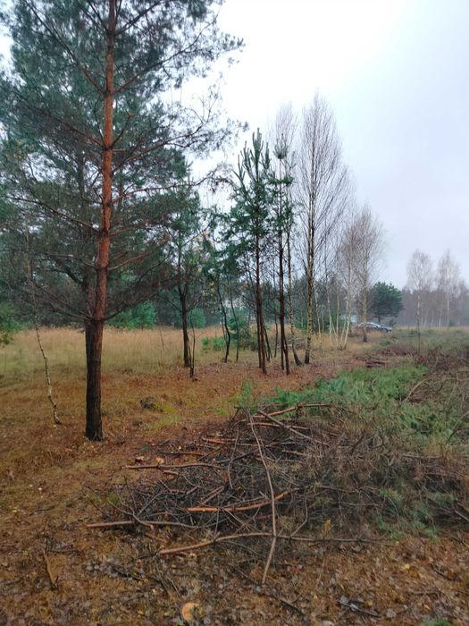 Okazja Sprzedam działkę w Rakowie woj.swietokrxyskie na os 70 lecia