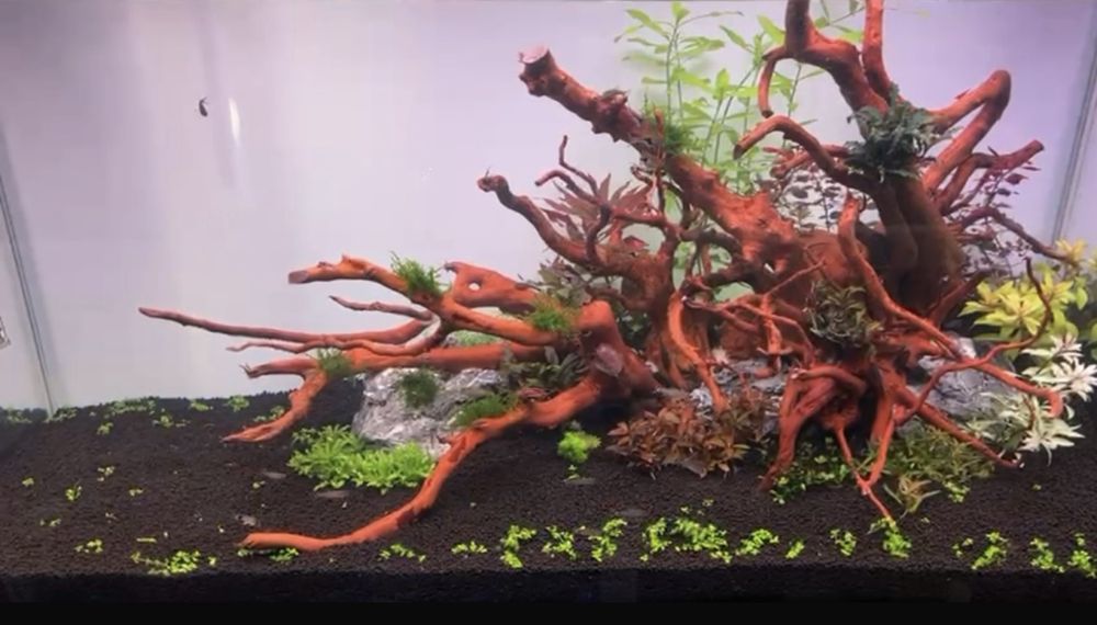 TMC reef habitat 90 e equipamentos para aquarios desde 10€