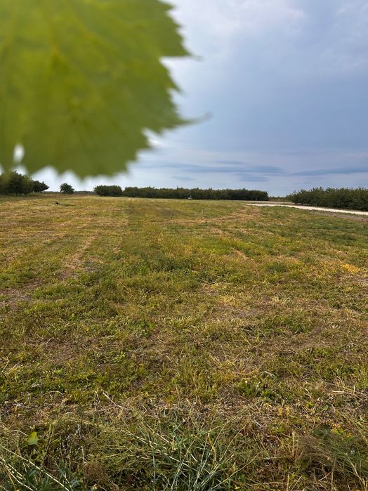 Ostatnia działka !!! z MPZ gotowe do zabudowy - Widok 4