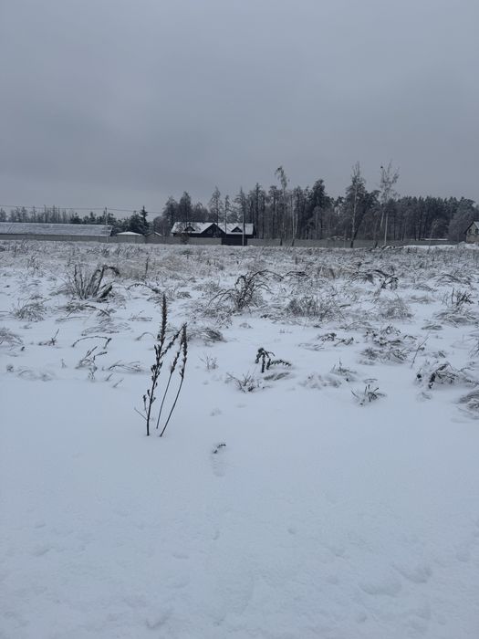 Земельна ділянка 10 соток у центрі Дмитрівки біля озер