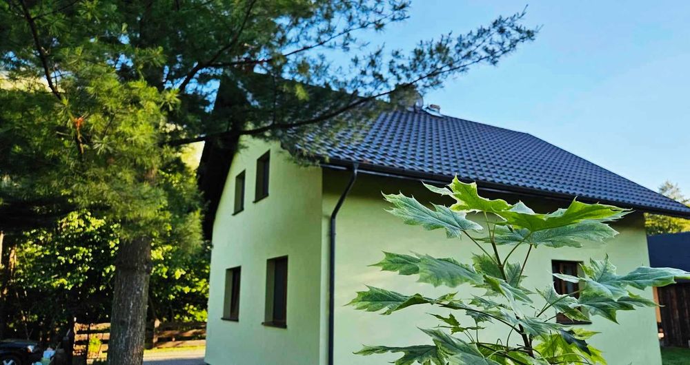 Dom w lesie  na wynajem  majówka, , wakacje , sauna. Leśniczówka, Jura