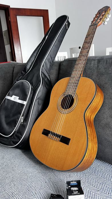 Guitarra acustica