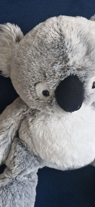 Maskotka mis koala