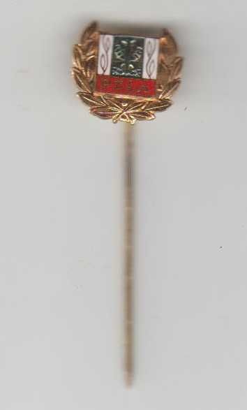 Przypinka PZLA mała