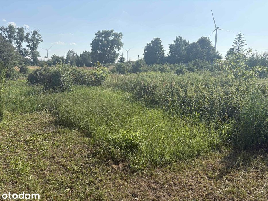 Działka rolna 3491 m² | Starczanowo | Potencjał zabudowy