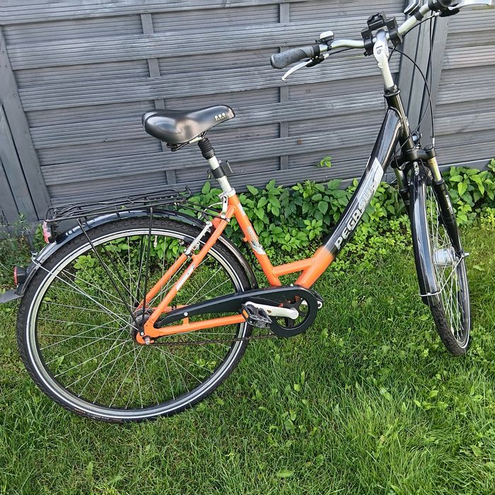 Rower Pegasus Milano