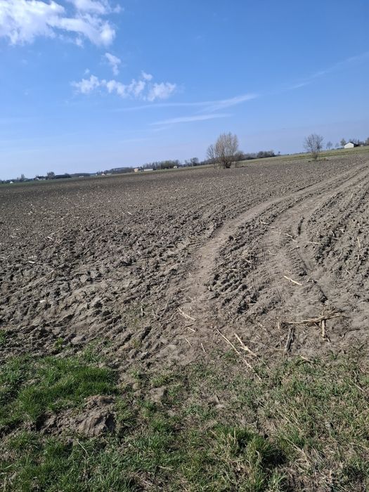 Działka rolna Gzy