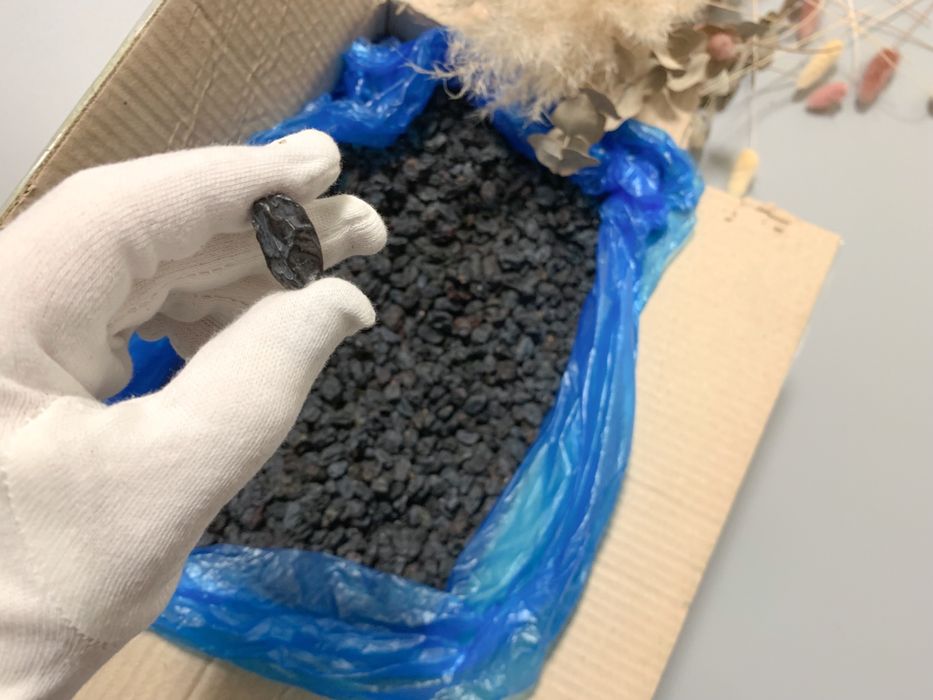 Родзинки сині без кісточок на Різдво до куті