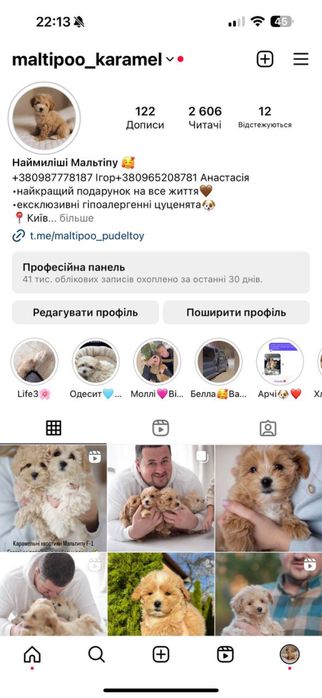 Мальтіпу гарнесенькі дітки