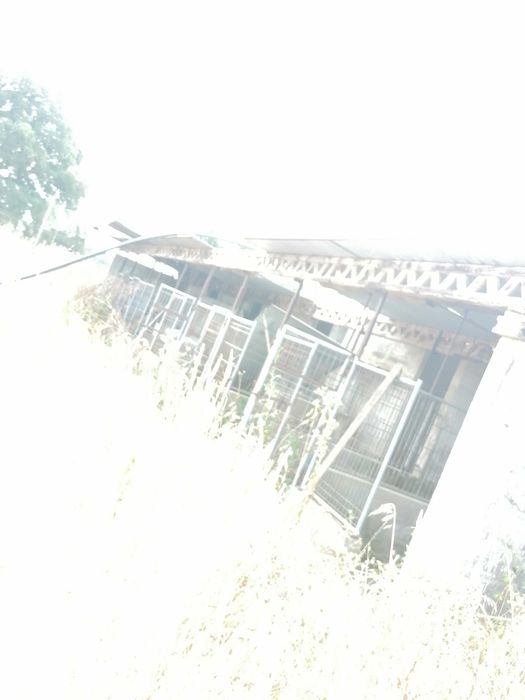 Quinta, com pavilhões