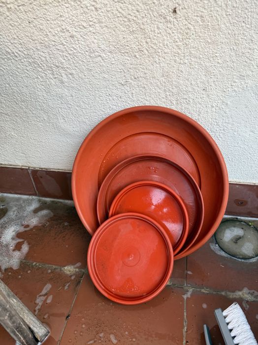 Vasos em plastico para plantas x 60