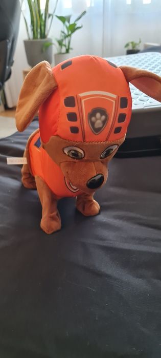 Cão  patrulha pata que anda