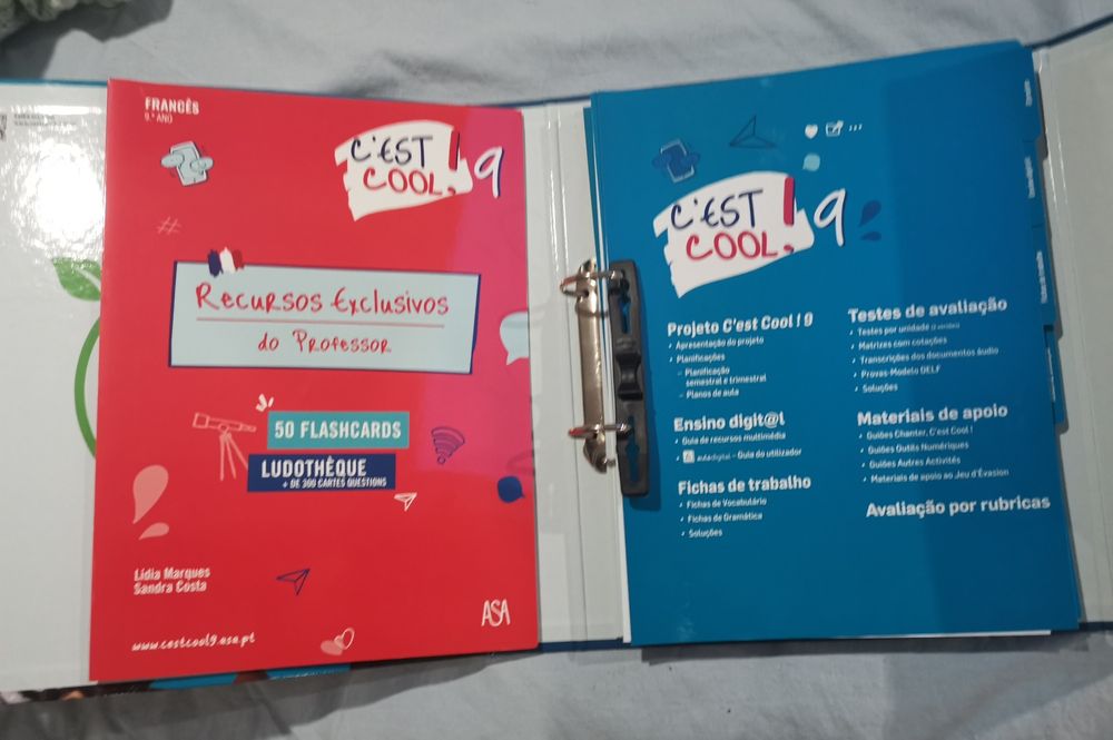 Support Materials for the French Textbook "C'est cool 9" – 9th Grade64740829971457121