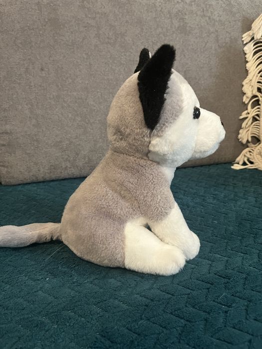 Maskotka pies Husky, wysokość ok. 24 cm.