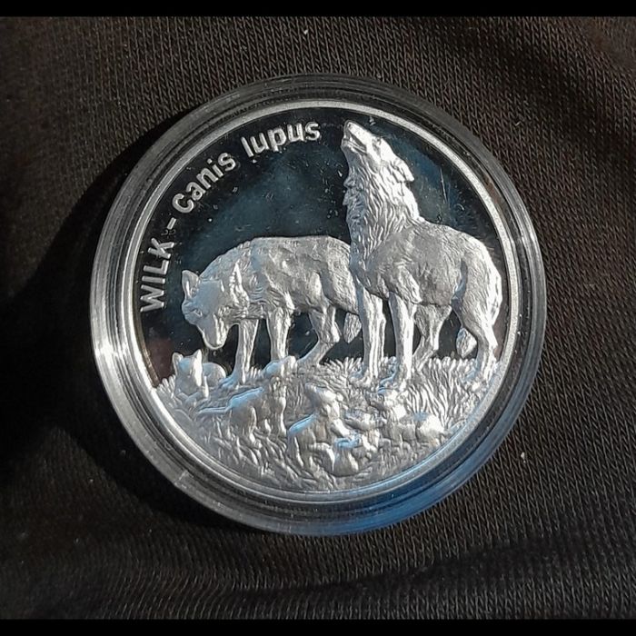 Moneta kolekcjonerska 20pln  - wilk