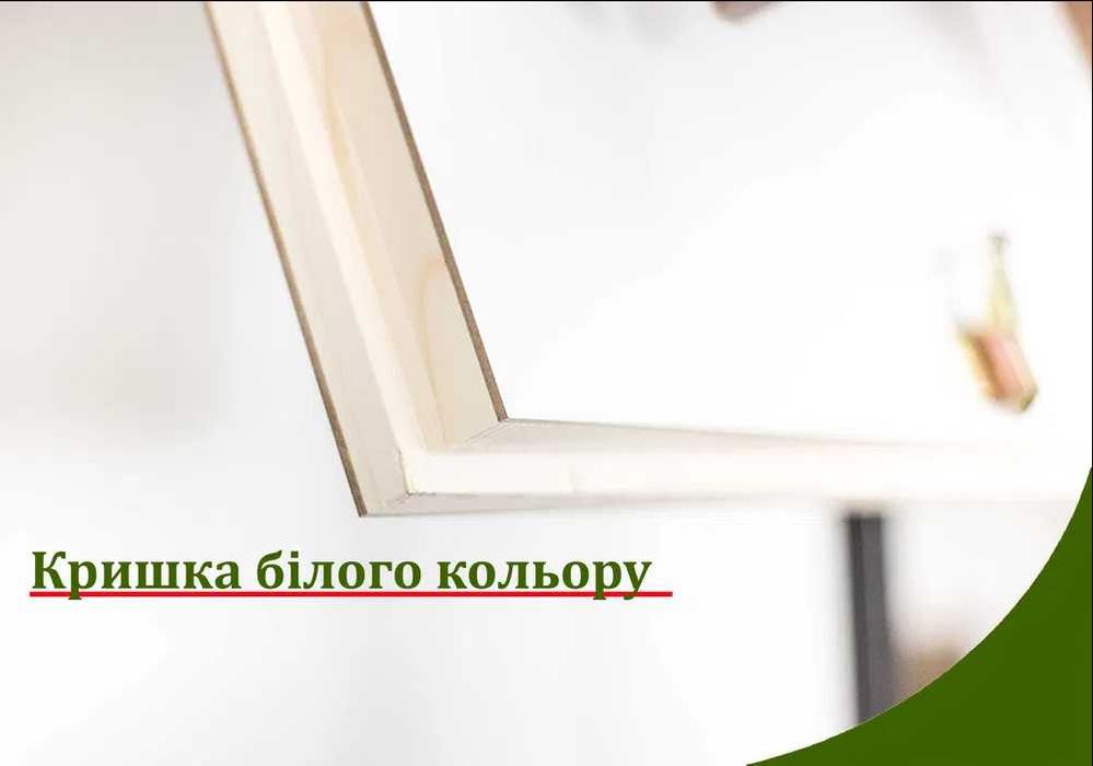 Сходи на горище, Вилаз на чердак, Чердачная лестница, топ ціна