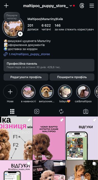 Крихітки мальтипу F1 caramel