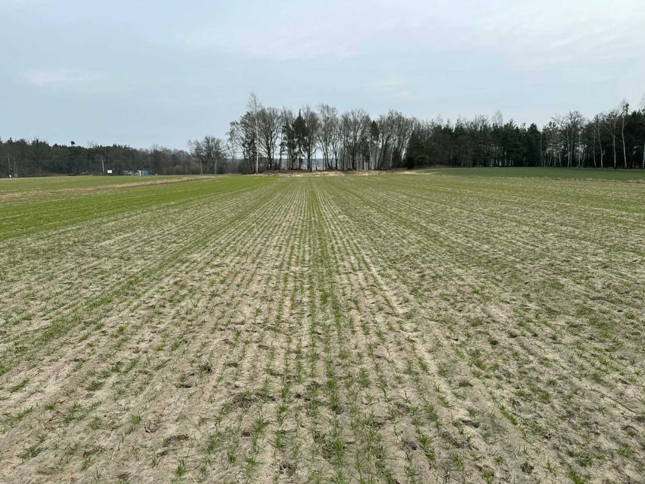 Sprzedam 4ha ziemi w jednym kawałku 90mx460m