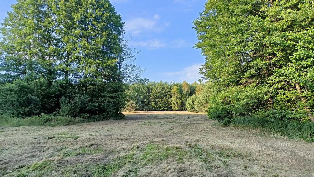 Działka pod zabudowę - Ojrzeń - Widok 3