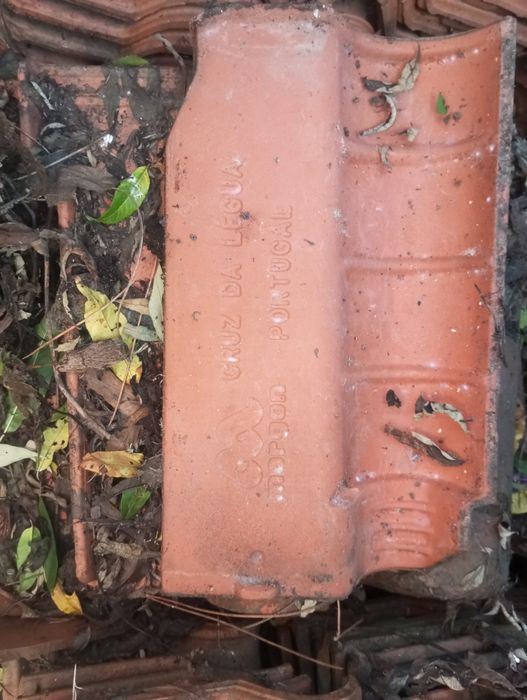 Telhas em bom estado