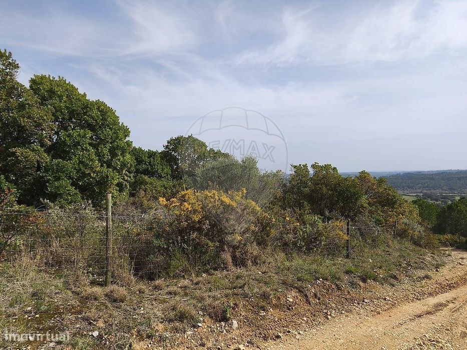 Terreno  para venda
