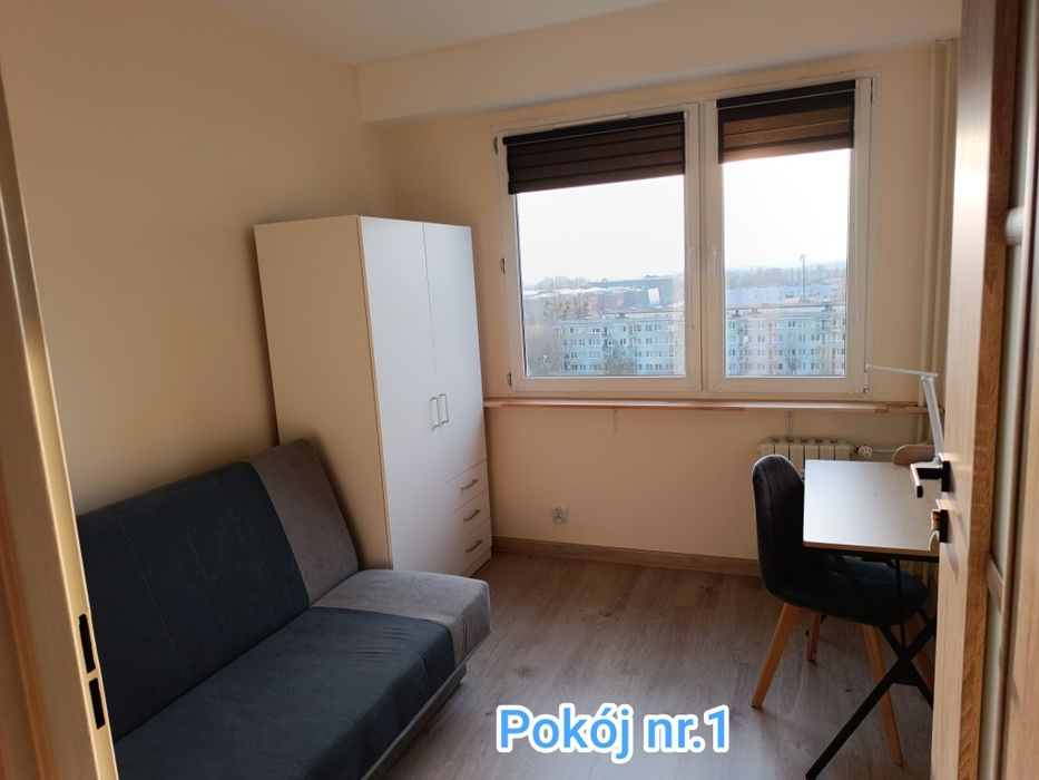 Mieszkanie / pokoje / pokój na wynajem aula UMK