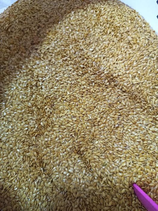 Насіння льону золотий 65гр та коричневий 45гр!