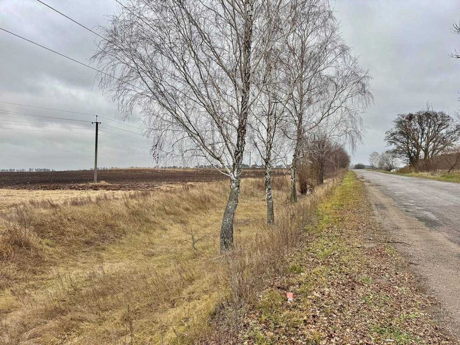 Земельний родючий масив у с. Воронькові ! По привабливій ціні!