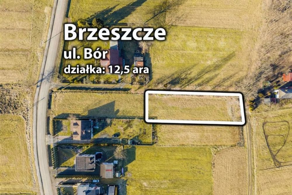 Zdjęcie 2