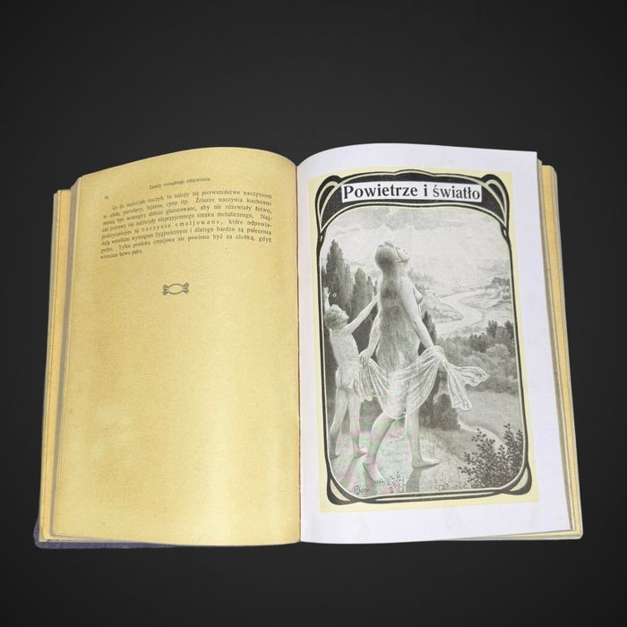 Antyk Lekarka Domowa Dr med. Janina Springer  przedwojenna encyklopedia B61/042501