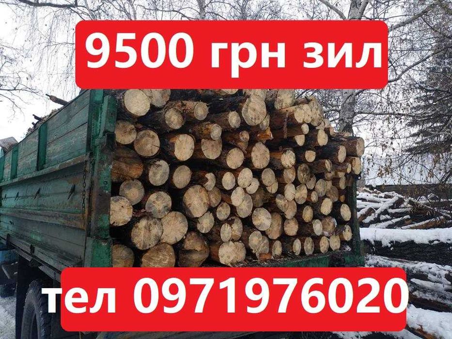 Дрова колотые, твердых пород зил 5 кубов