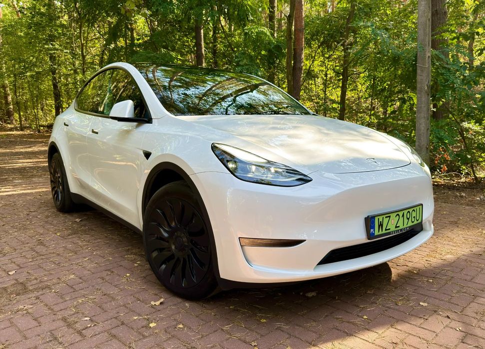 Tesla Model Y Tesla Y Long Range AWD Gwarancja | FV23%