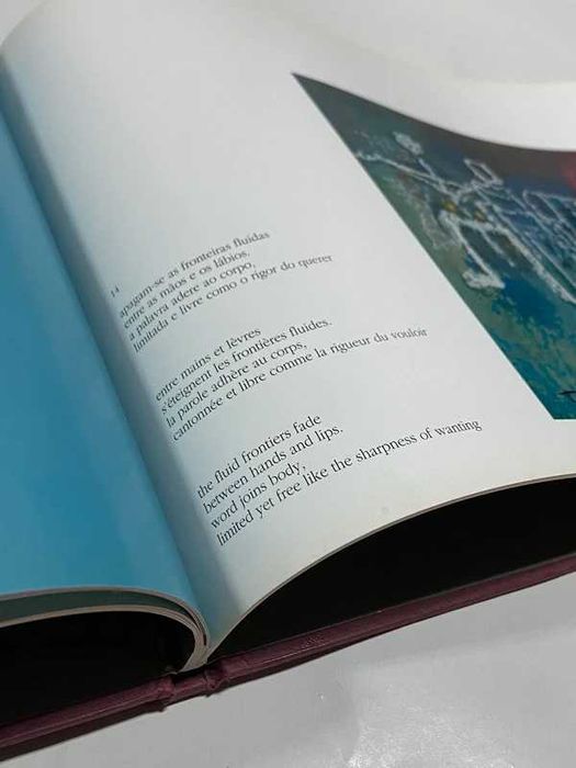 A palavra e a pedra - La pierre lisible