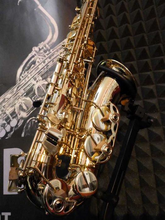 Saxofone Selmer Alto Axos - NOVO